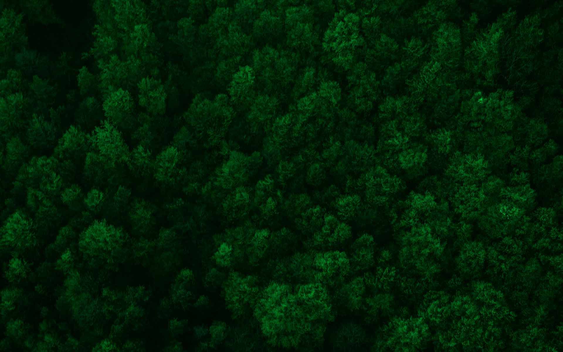 Aplicación, distribución y asesoramiento